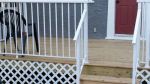 cedar-deck-aluminum-railing